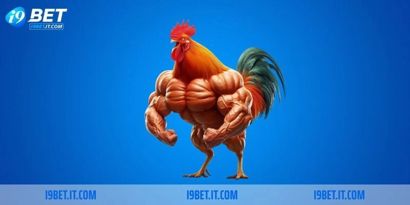 Trực Tiếp Đá Gà Tre I9BET – Sân Chơi Giải Trí Hàng Đầu